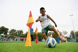 杰夫·蒂格对凯尔特人队塔图姆未曾获得 MVP 的看法