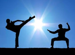 大谷翔平在 2023 年夺得全明星票王，展现了他在球迷心目中不可撼动的地位