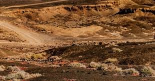 羽毛球数据统计更新 攻防效率对比明显